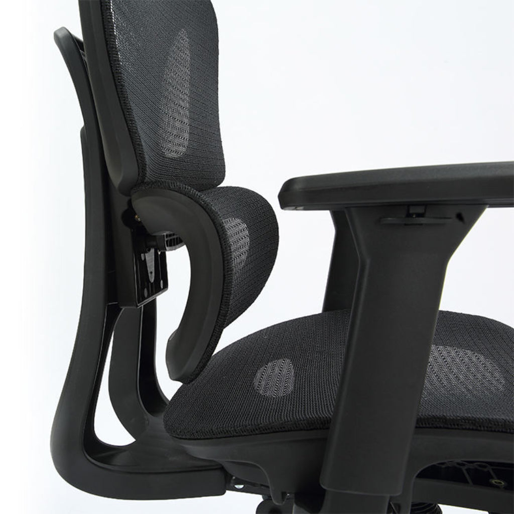 Roulettes universelles silencieuses de la chaise Ergovian E1PRO
